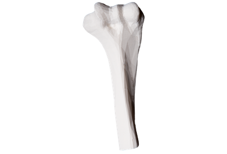 Filament Print-Me Satin Matt PLA Bone 1,75 mm 200 gramów